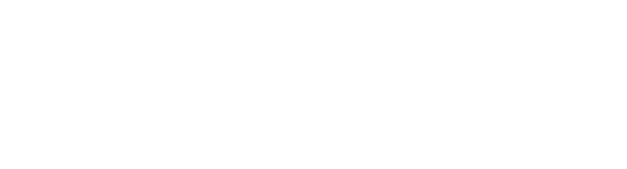 Логотип компании Elvain (Элвайн)